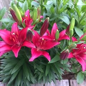 Meet your Posher, Kathy